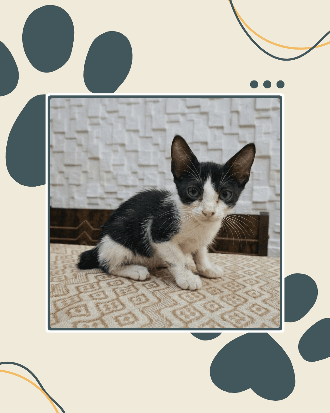 Foto de Oreo